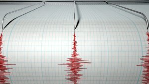Землетрясение магнитудой 4,8 зафиксировали алматинские сейсмологи