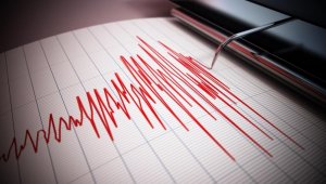 Землетрясение произошло в 418 км от Алматы