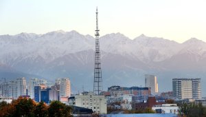 Какой будет погода в Алматы и области 12 ноября