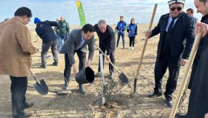 Посол Казахстана в Азербайджане принял участие в посадке деревьев