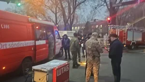 В Алматы произошел крупный пожар