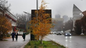 Какая погода ожидается в Алматы и области 3 декабря
