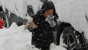 Сильные морозы до -39° идут в Казахстан: МЧС обратилось с предупреждением