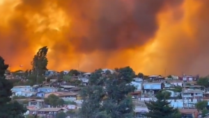 Крупные лесные пожары охватили Чили