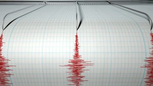 Землетрясение магнитудой 5,7 зафиксировали на юго-западе от Алматы
