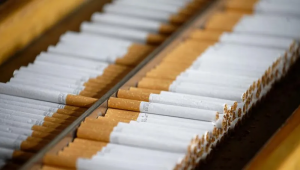 Контрафактные сигареты на 2,7 млрд тенге изъяли в Семее