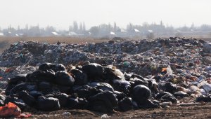 В два раза увеличат штрафы за выброс мусора в неположенном месте в Казахстане