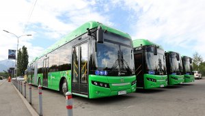 В автобусные парки Алматы поступило 1150 новых автобусов