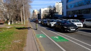 Казахстанцам запретили управлять авто с иностранным учетом отдельными правилами