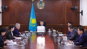 Правительство Казахстана утвердило законопроекты на 2024 год