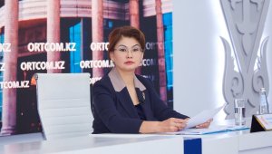 Аида Балаева: Совершенствуется законодательство в медиасфере