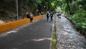 50-метровая горка для катаний появится на пруду Терренкура в Алматы
