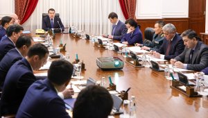 Развитие Qarmet с участием нового инвестора обсудили в Казахстане