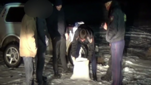 Выкапывал руками коноплю из-под снега: мужчина задержан в Жамбылской области