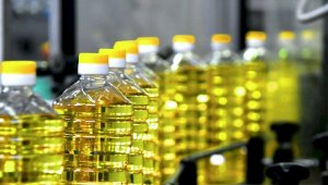 Подсолнечное масло заметно подешевело в Алматы