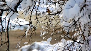 Мороз, ветер и гололедицы: прогноз погоды на 10-12 февраля