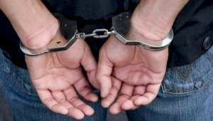 Более 300 разыскиваемых преступников задержало МВД