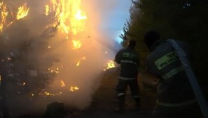 Меры по борьбе с лесными пожарами обсудили в Мажилисе