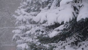 Алматы накрыл снег: ожидается сильный мороз