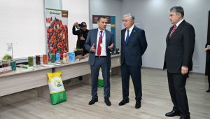 Президент посетил Опытное хозяйство масличных культур в ВКО