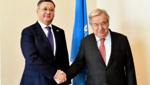 Демократические процессы Казахстана в фокусе внимания Женевы