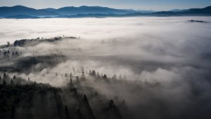 По Казахстану ожидается туман: прогноз погоды на 28 февраля