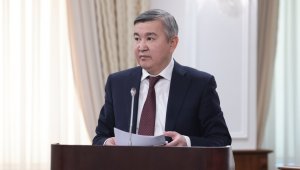 Единый пакет льгот для инвесторов предлагают ввести в Казахстане