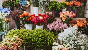 Порядка 150 млн штук цветов привезли в Казахстан