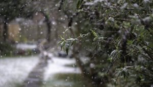 В каких регионах Казахстана пройдут дождь и снег: прогноз погоды на 18 марта