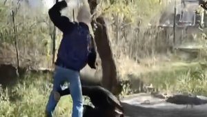 Подростки избивают жителей Конаева на видео: в полиции прокомментировали инцидент