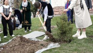 День обновления отметили посадками деревьев в Алматы