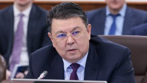 Какие вопросы будет курировать новый вице-премьер Бозумбаев