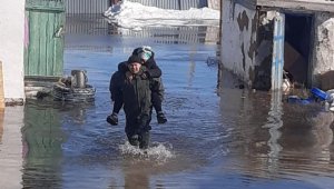 Токаев призвал бизнесменов помочь пострадавшим от наводнения