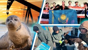 Речь Бишимбаева на суде, массовая гибель тюленей на Каспии, задержание 25 членов преступной группы – итоги дня
