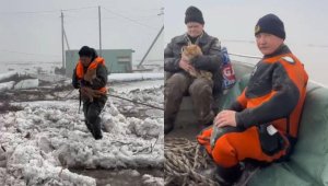 Одинокого охранника и его кошку спасли в Акмолинской области