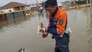 Около 3,5 тыс. частных домов затоплено в Казахстане