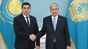 Токаев принял председателя Парламента Грузии: Тбилиси рассчитывает на всесторонние связи с Астаной