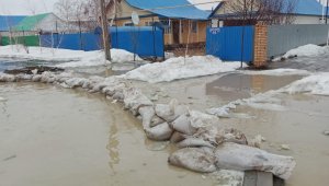 Наводнения в Казахстане-2024: ситуация на 14 апреля