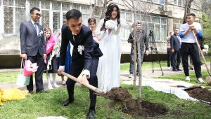 В День Козы-Корпеша и Баян Сулу в Медеуском районе посадили деревья