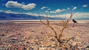 Засуха ожидается в Казахстане в мае
