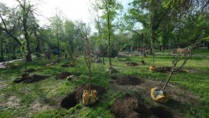 «Алматы - город-сад»: в мегаполисе появятся новые яблоневые сады
