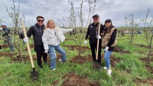 Алматинцы сажают яблоневые сады – фоторепортаж