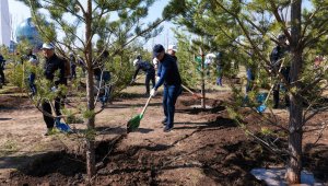 Аппарат Правительства посадил деревья на территории EXPO в Астане