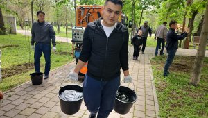 «Алматы - город-сад»: более 100 яблонь высадили в Турксибском районе