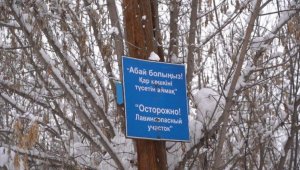 Казгидромет предупредил алматинцев о сходе снежных лавин
