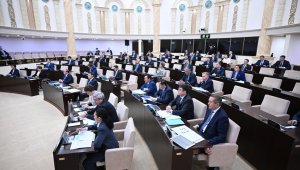 Закон о цифровизации и инвестклимате одобрили сенаторы Казахстана