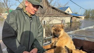 Более 16 тыс. казахстанских семей получили господдержку после паводков