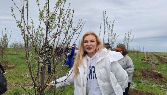 В Алматы массово высаживают яблоневые деревья