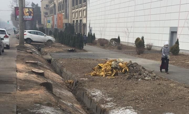 Более десятка деревьев вырубили в центре Алматы: власти ведут расследование