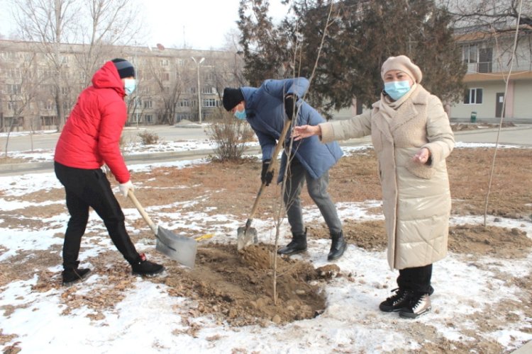 В Турксибском районе отремонтировали сквер Сейфуллина, установили МАФы для детей и высадили деревья